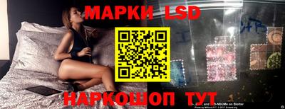 ГАЛЛЮЦИНОГЕННЫЕ ГРИБЫ Нальчик
