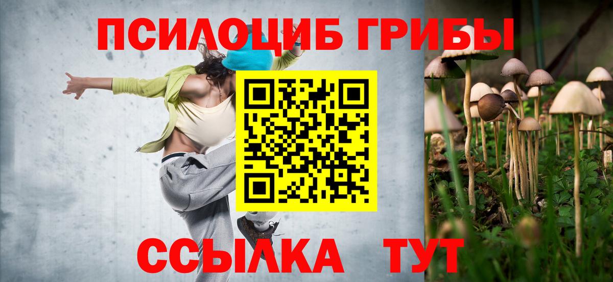 Галлюциногенные грибы мицелий Сочи