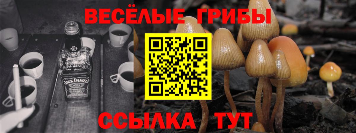 Псилоцибиновые грибы Psilocybine cubensis  Вход с VPN  дарнет шоп  Псилоцибиновые грибы Magic Shrooms  Сочи 